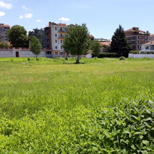 Universiade 2025, il Comitato Salviamo i prati di Parella attacca: "Studentato costruito a danno degli orti, inaccettabile" Universiade 2025, il Comitato Salviamo i prati di Parella attacca: "Studentato costruito a danno degli orti, inaccettabile"