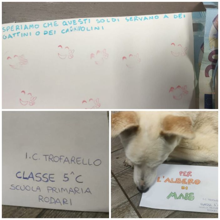 La generosità dei bambini corre incontro al canile rifugio di Moncalieri La generosità dei bambini corre incontro al canile rifugio di Moncalieri