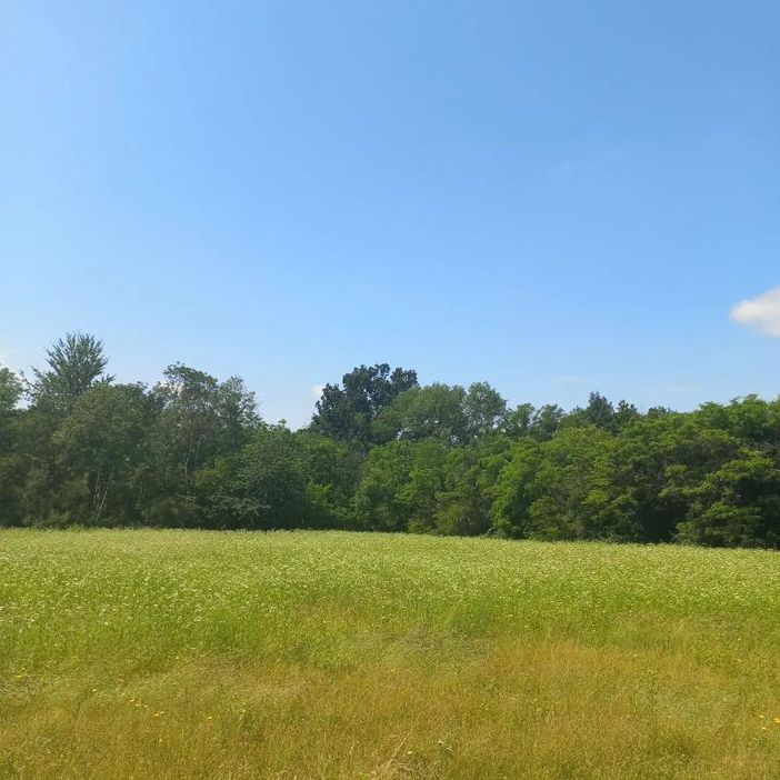 Camminata alla scoperta della Vauda di Volpiano Camminata alla scoperta della Vauda di Volpiano