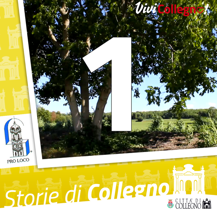 I vocali su whatsapp dei ciceroni diventano le "Storie di Collegno"