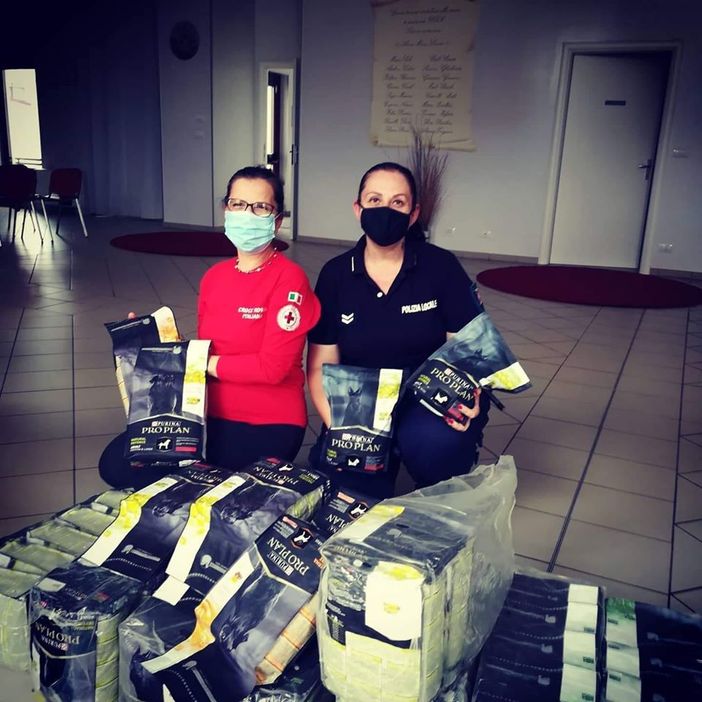 La Croce Rossa distribuisce alimenti per cani ai cittadini di Nichelino in difficoltà
