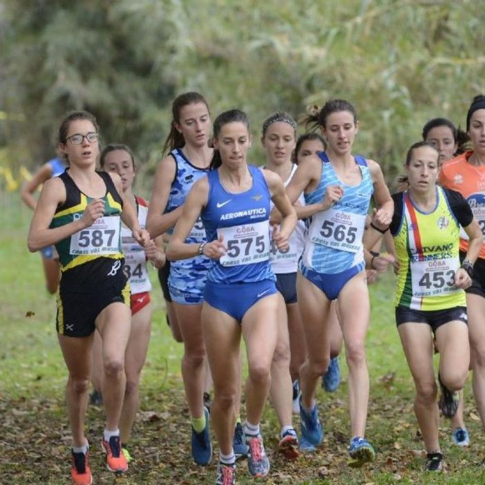 Roffino e Merlo in azione