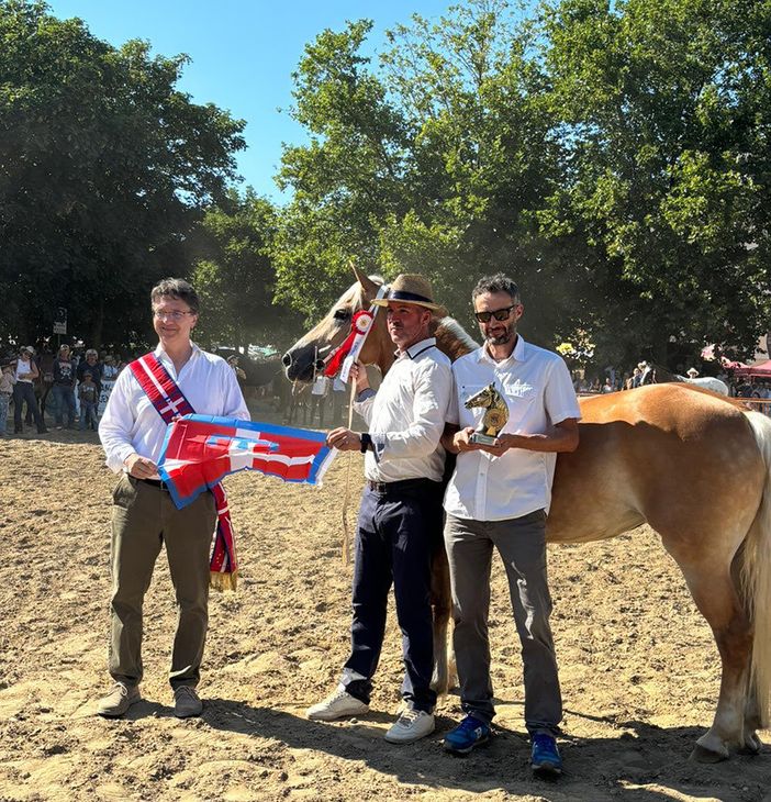 La consegna del premio La consegna del premio