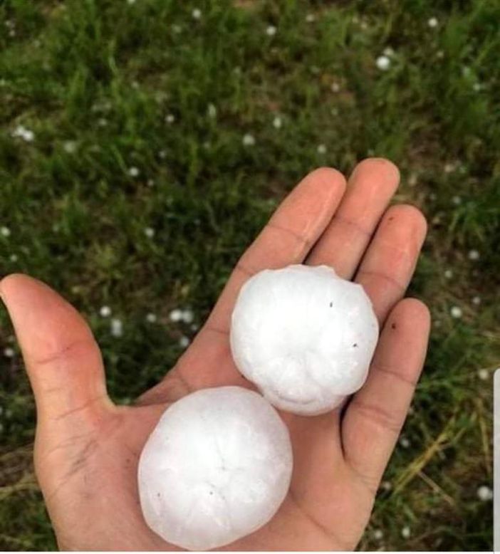 Maltempo, Coldiretti Piemonte: &quot;Bollettino di guerra per forti grandinate, piogge e vento&quot;