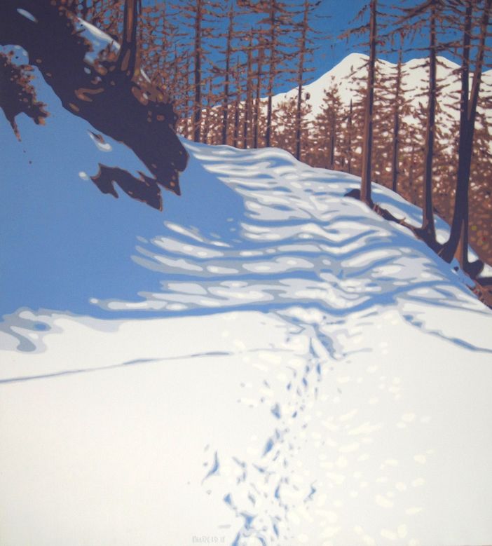 I Lions del torinese promuovono raccolta fondi per l'Ospedale di Verbania