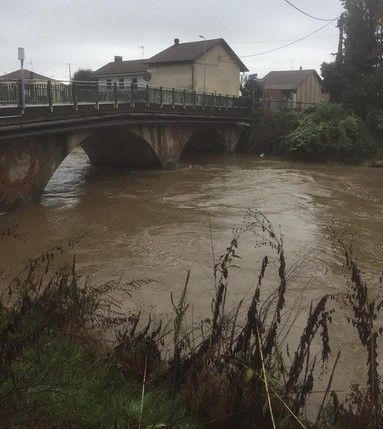 Moncalieri, in arrivo (dalla Regione) altri otto milioni per la messa in sicurezza del Chisola Moncalieri, in arrivo (dalla Regione) altri otto milioni per la messa in sicurezza del Chisola