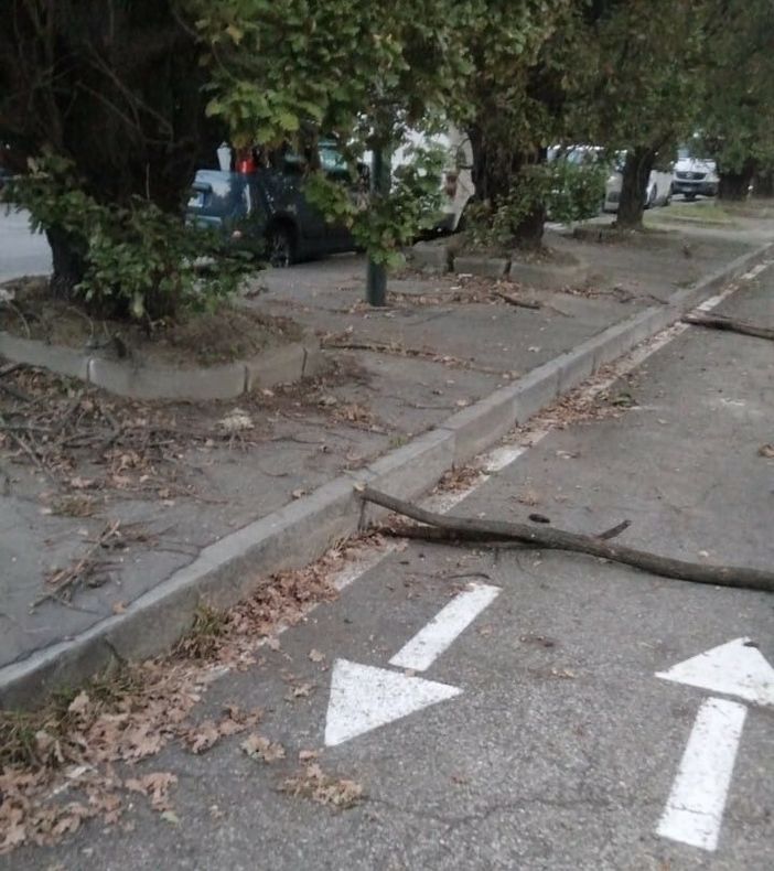 Via Tempia trappola per residenti e automobilisti