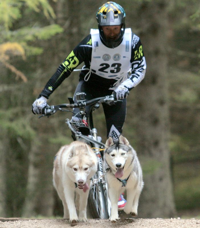 Un bibianese con i suoi Siberian Husky finisce in nazionale