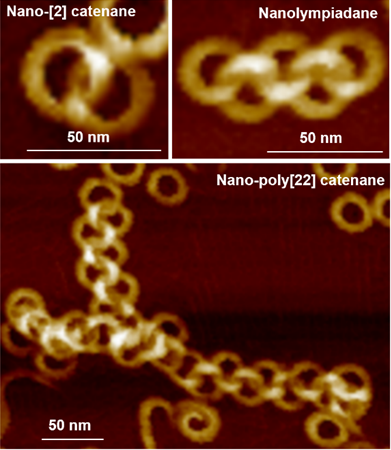 Politecnico alla ribalta sui materiali innovativi: ecco i polimeri che si auto-assemblano come anelli di una catena