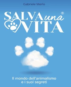 Lotta alla droga, la Polizia sequestra 20 chili di hashish