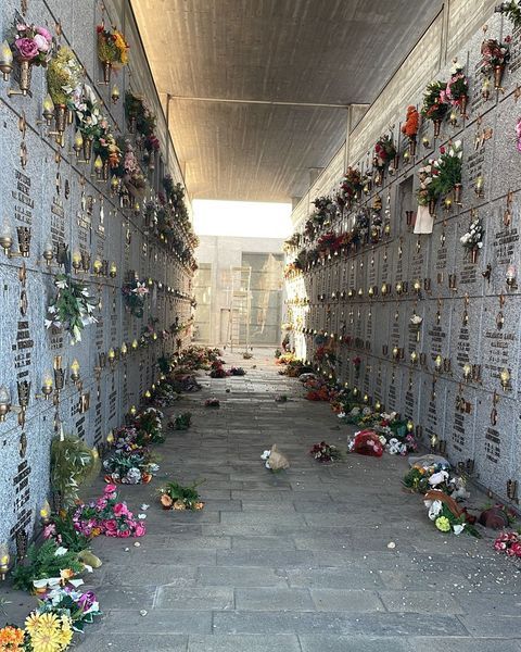 cimitero rivalta vandalizzato