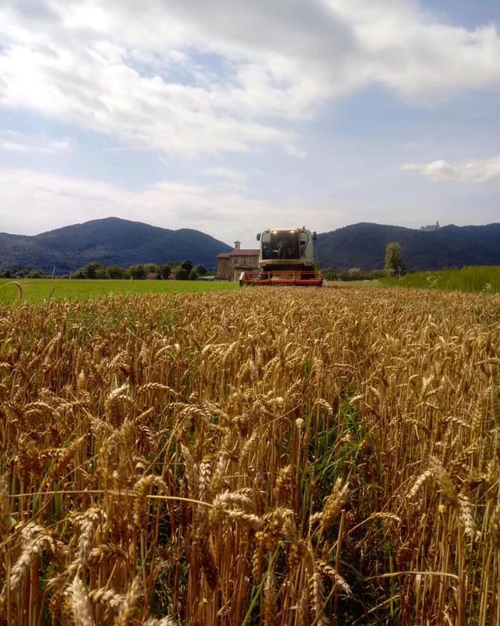 Domenica Giaveno è la città del buon pane