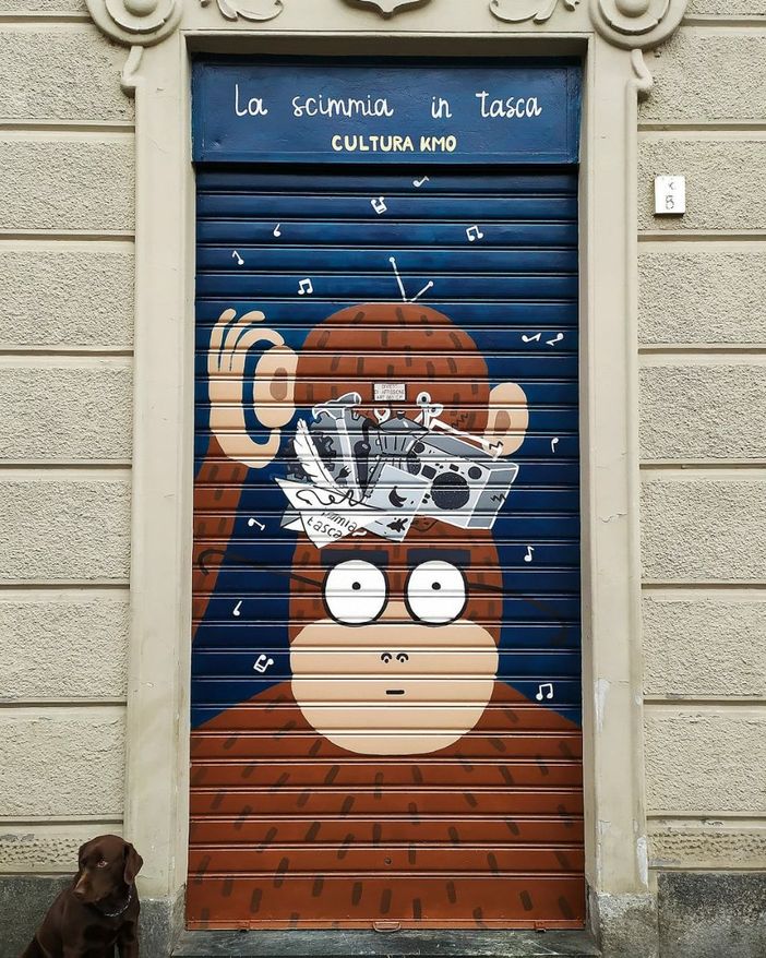 La scimmia in tasca, saracinesca