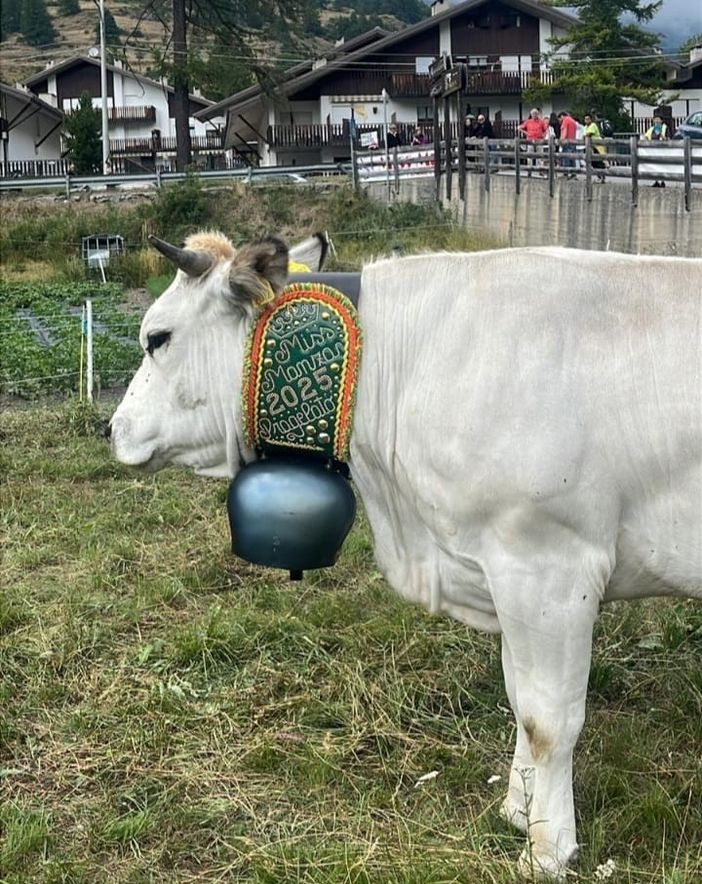 La premiata Ice La premiata Ice