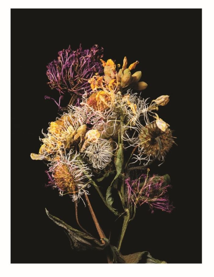 Olga Cafiero vince il Garesio Wine Prize for Documentary Photography"