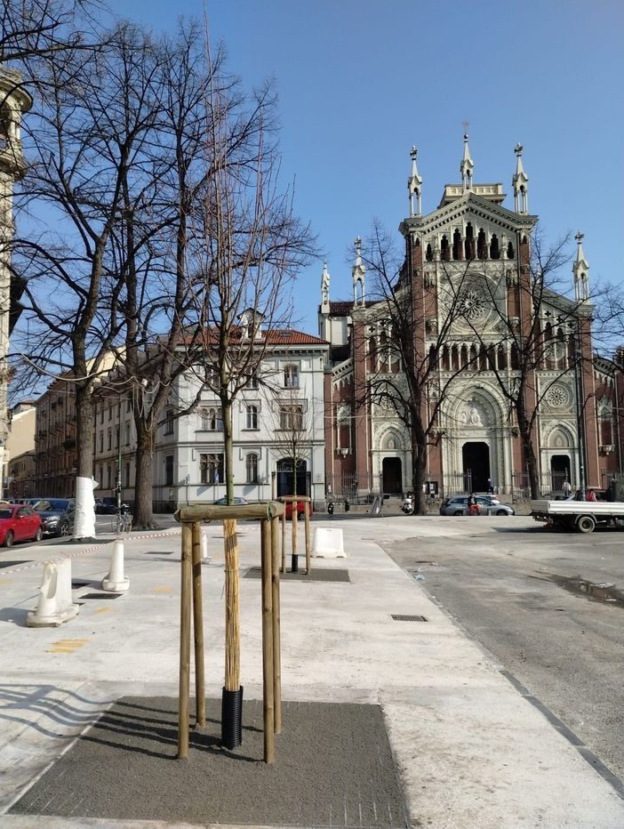 Nuovi tigli in piazza Benefica Nuovi tigli in piazza Benefica