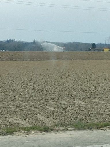 Nubifragio nelle valli torinesi, l’agricoltura conta i danni. Mecca Cici: "Le coltivazioni risentono di questo clima"