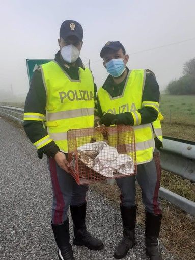 Due agenti della pattuglia autrice del salvataggio del volatile