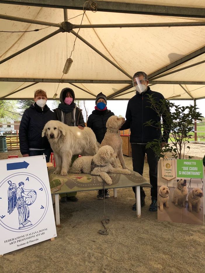 Progetto Due cuori si incontrano