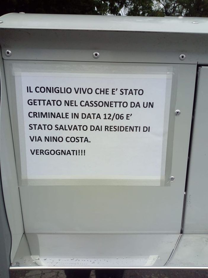 Non ce l’ha fatta il coniglio abbandonato in un cassonetto a Vigone
