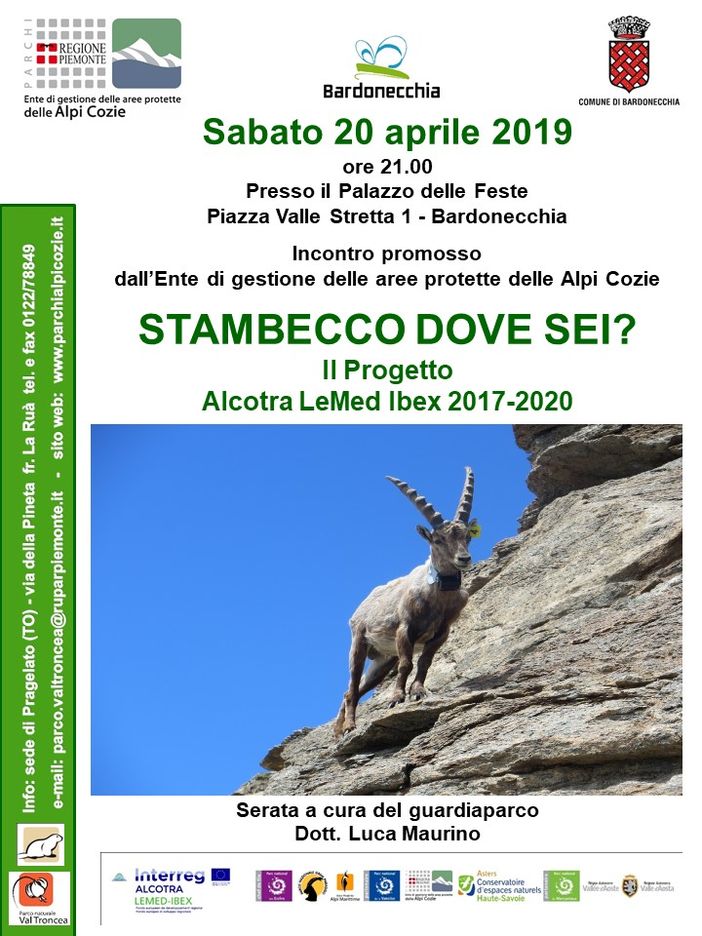 A Bardonecchia la serata naturalistica &quot;Stambecco dove sei?&quot;