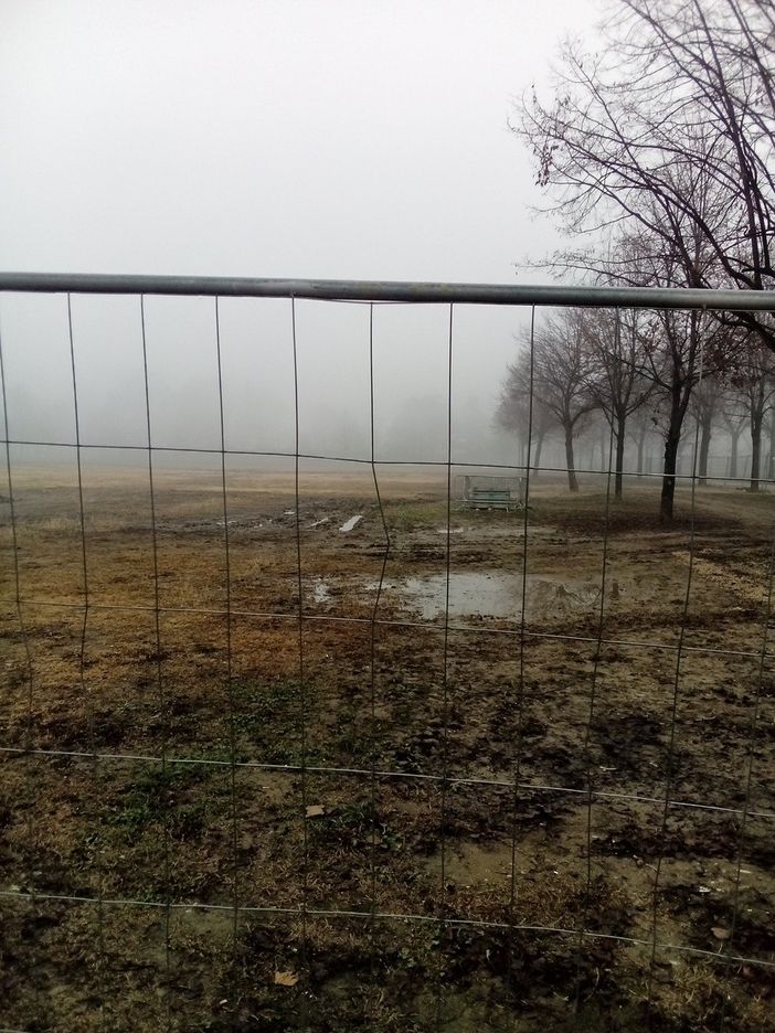 Un lettore segnala le condizioni del prato di piazza d'Armi dopo le Atp Finals
