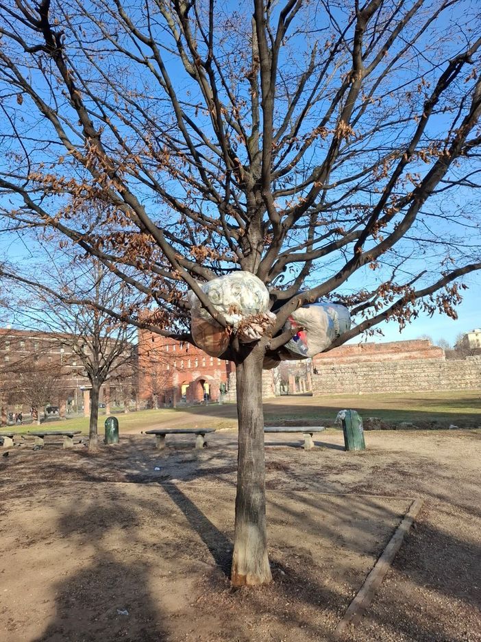 La situazione del parco archeologico La situazione del parco archeologico