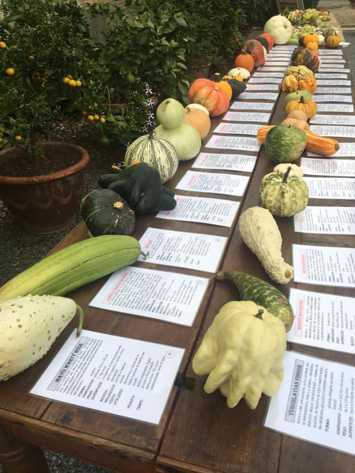 Prodotti dell'orto in esposizione Prodotti dell'orto in esposizione