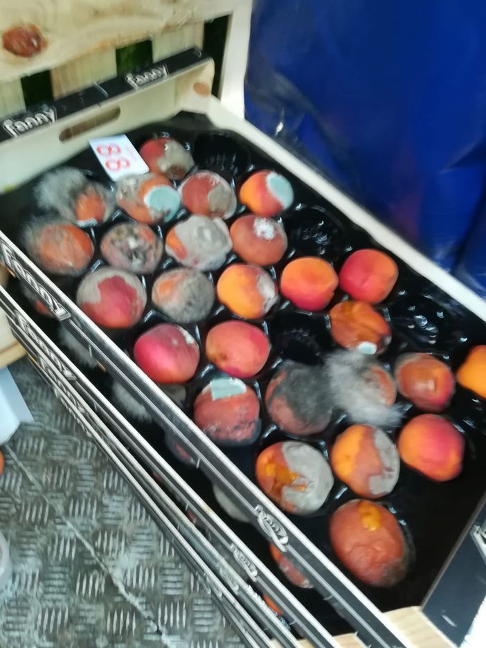 A Porta Palazzo la Municipale sequestra e distrugge 6 quintali di frutta ricoperta di muffa