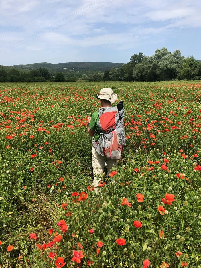 I cammini d'Italia in diretta sui social