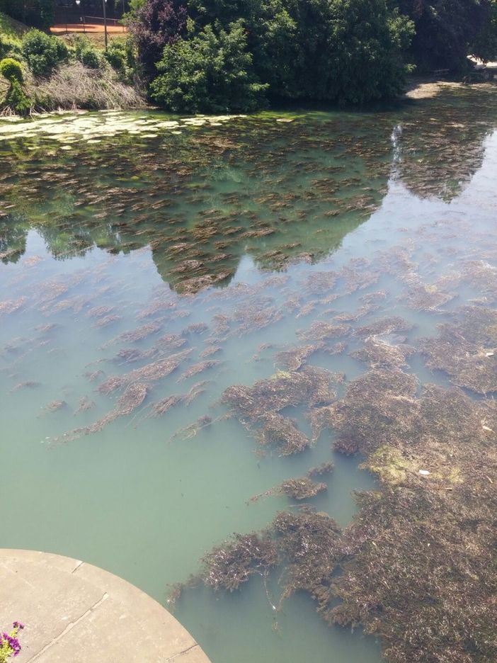 Domenica notte nuovo incremento dei livelli nel tratto piemontese del Po