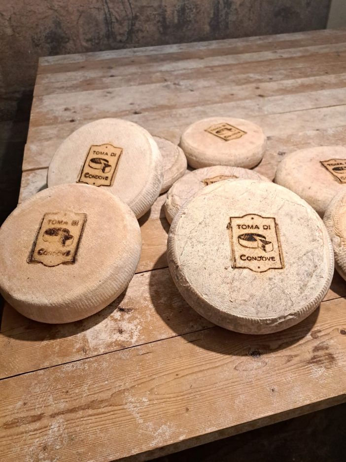 A Condove torna l'appuntamento con la Fiera della Toma A Condove torna l'appuntamento con la Fiera della Toma