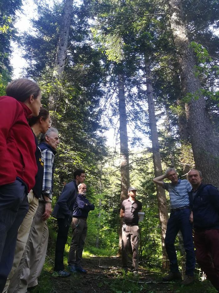 La valle Germanasca cresce con la filiera legno locale