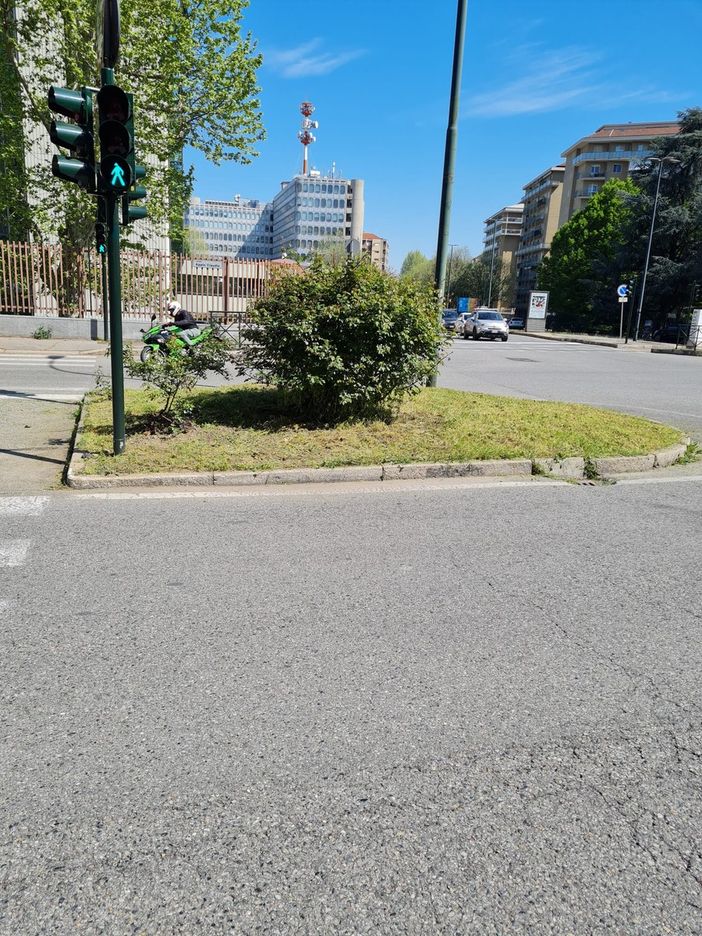 Gradita 'sorpresa' in corso Svizzera: aiuole sfalciate nei giorni scorsi