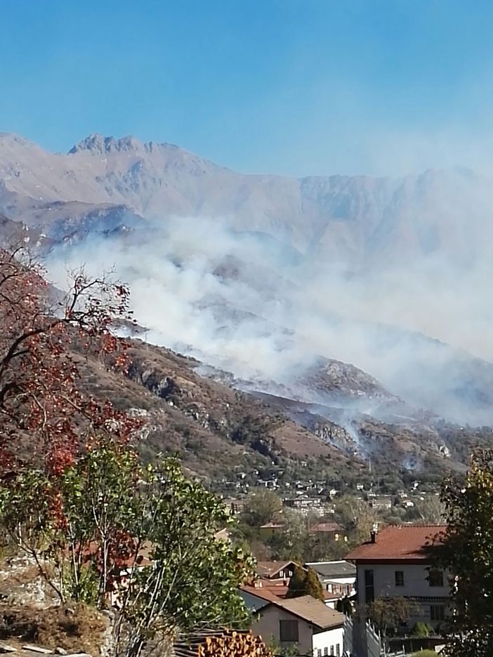 Coldiretti: &quot;Serviranno 15 anni per ricostruire i boschi bruciati dagli incendi&quot;