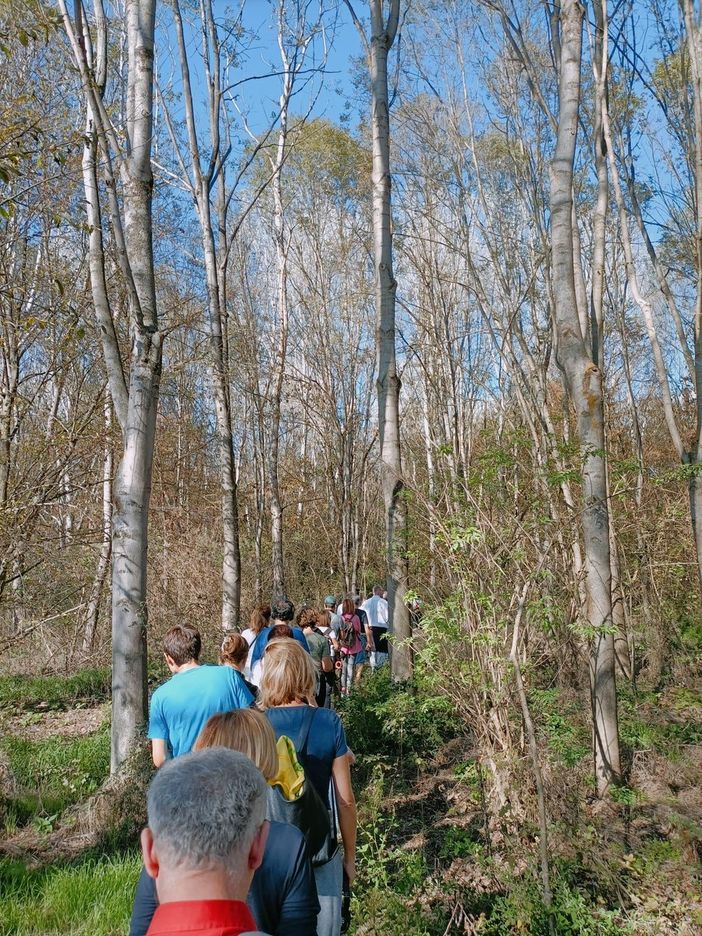 A Carmagnola, passeggiata e concerto silenzioso nel Bosco del Gerbasco A Carmagnola, passeggiata e concerto silenzioso nel Bosco del Gerbasco