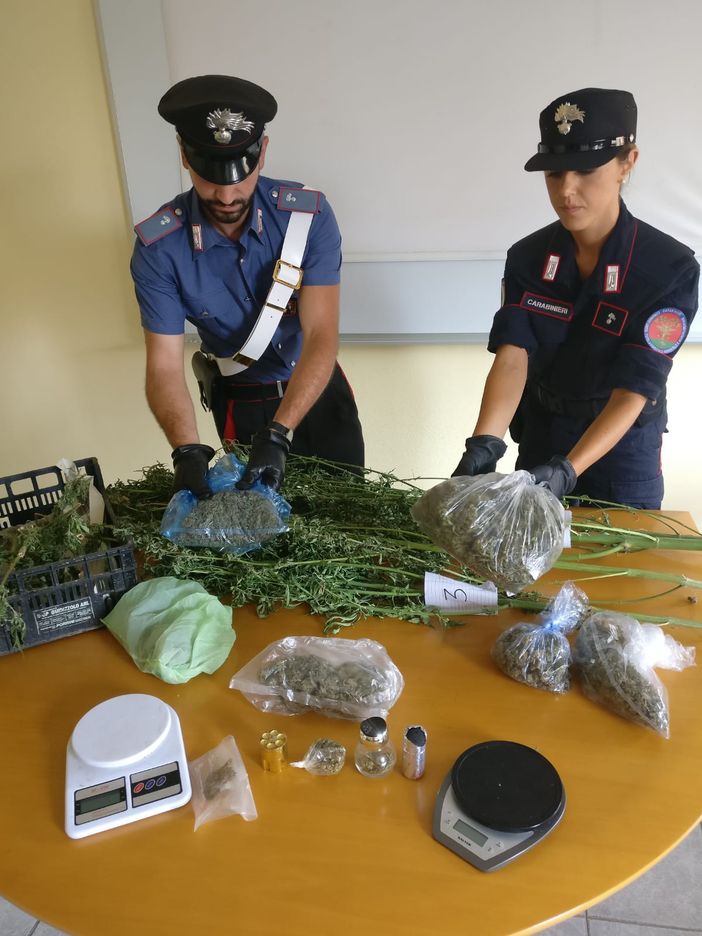 Chivasso, nell'orto cresceva la marijuana: in manette 40enne