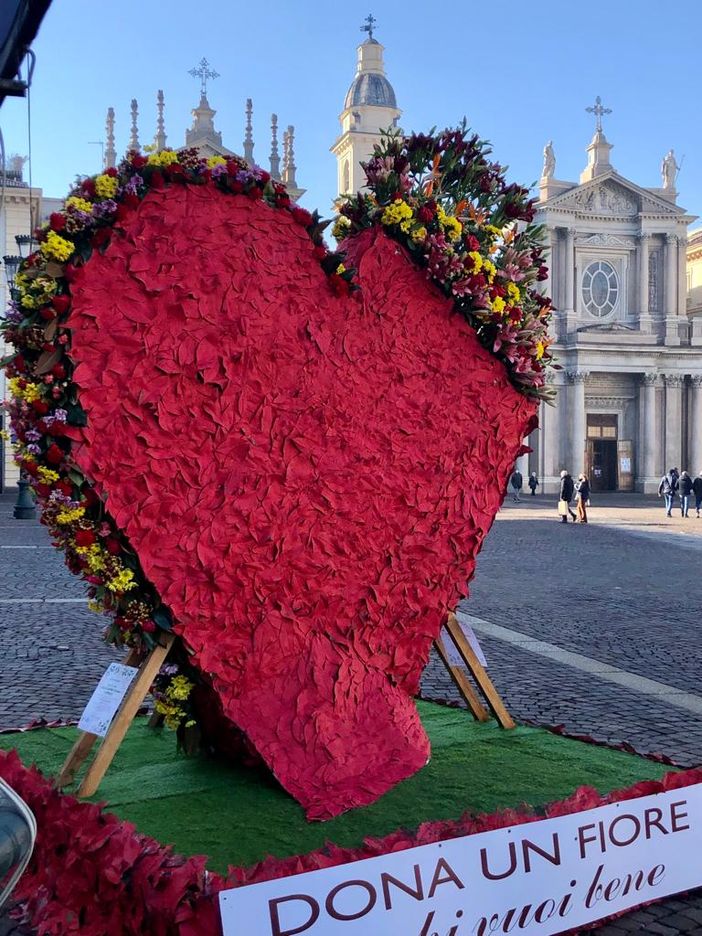 Un cuore nel salotto di Torino: i fiorai celebrano San Valentino, ma lamentano anche cali di fatturato del 30%
