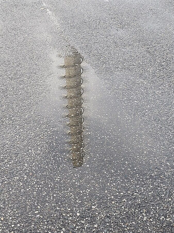 Wiki Loves Monuments: la Chiesa del Santo Volto nello scatto vincitore