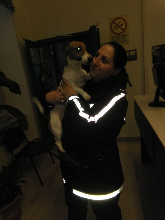Storia di Natale a Nichelino: polizia salva e recupera Jack Russel