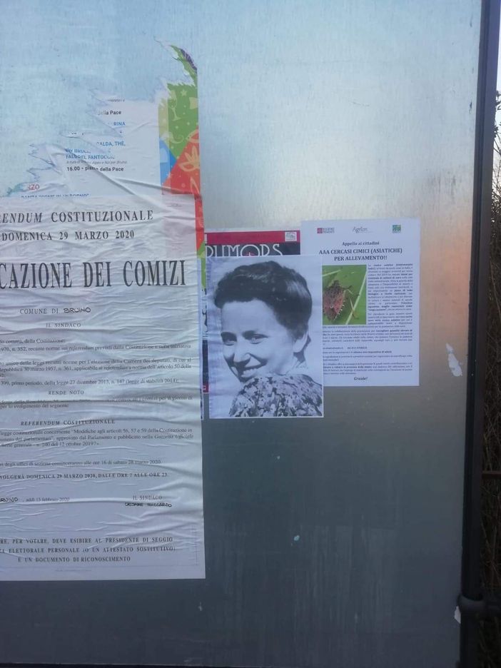 Bruino, manifesti con il volto di Norma Cossetto affissi per il centro