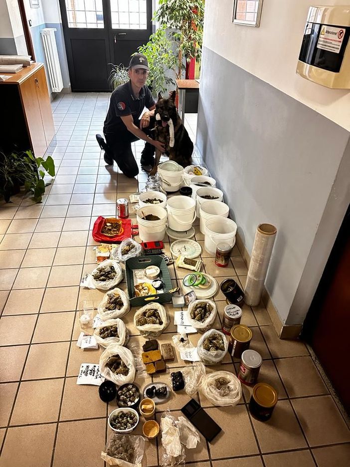 operazione antidroga carabinieri operazione antidroga carabinieri