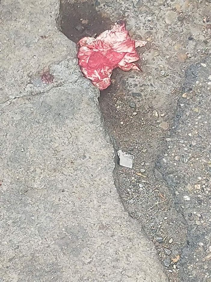 Controlli notturni per la movida, la denuncia del Siulp: "Basta agenti e funzionari in ospedale" Controlli notturni per la movida, la denuncia del Siulp: "Basta agenti e funzionari in ospedale"