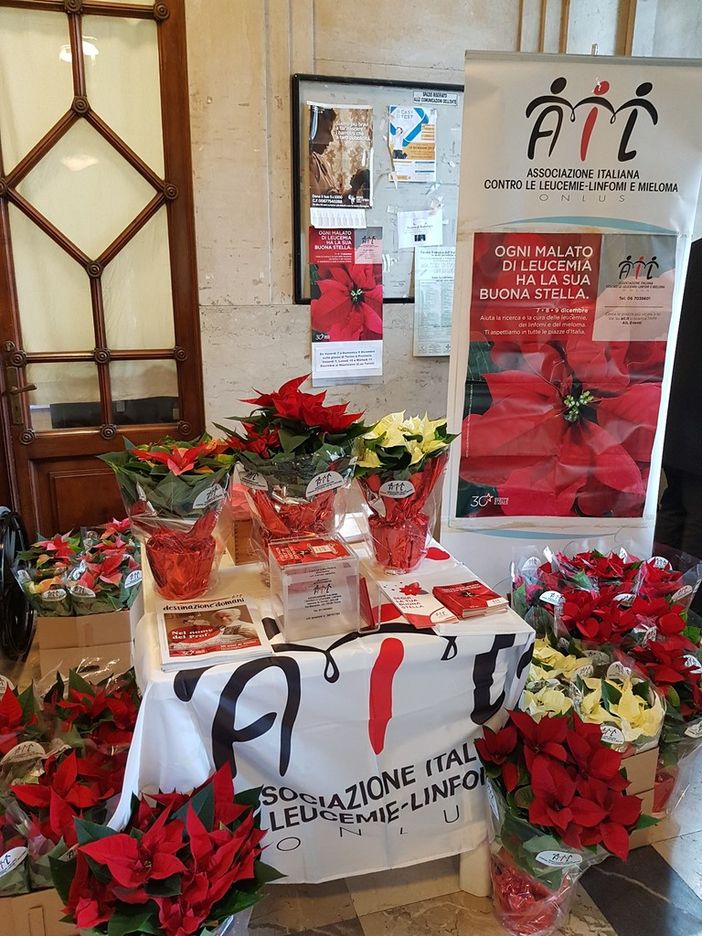 I commercianti di Mirafiori Nord accolgono le stelle di Natale AIL contro i tumori