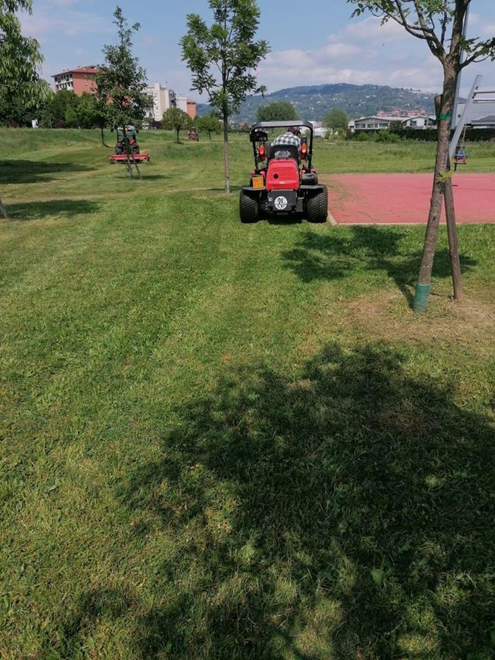 Venaria cerca sponsor per valorizzazione e manutenzione di rotonde e verde pubblico Venaria cerca sponsor per valorizzazione e manutenzione di rotonde e verde pubblico
