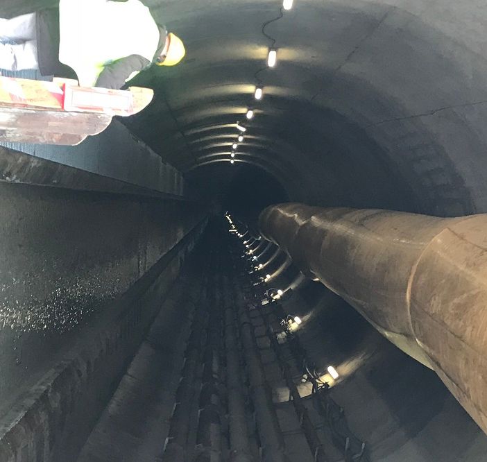 Referendum sull'Alta Velocità, Montaruli - Marrone (FdI): 'Il no dei Grillini al referendum cittadino, ormai sono arroccati nel palazzo, terrorizzati dall'opinione dei torinesi'