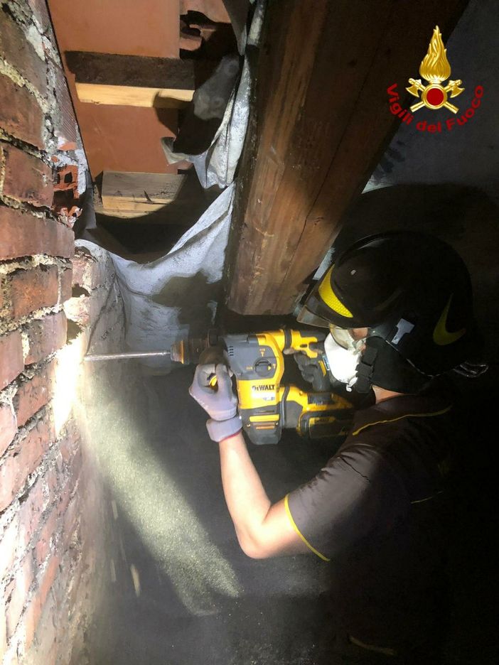 I Vigili del Fuoco portano in salvo un gattino rimasto intrappolato in una canna fumaria I Vigili del Fuoco portano in salvo un gattino rimasto intrappolato in una canna fumaria