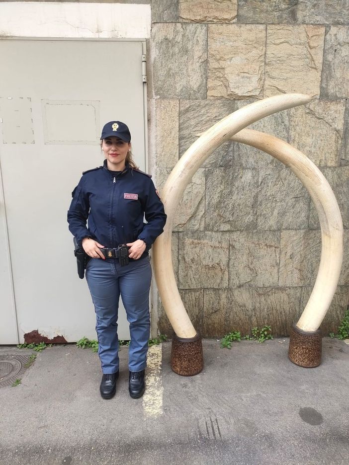 zanne elefante polizia