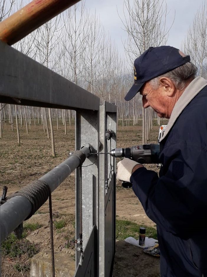 Andrea Palestro Andrea Palestro