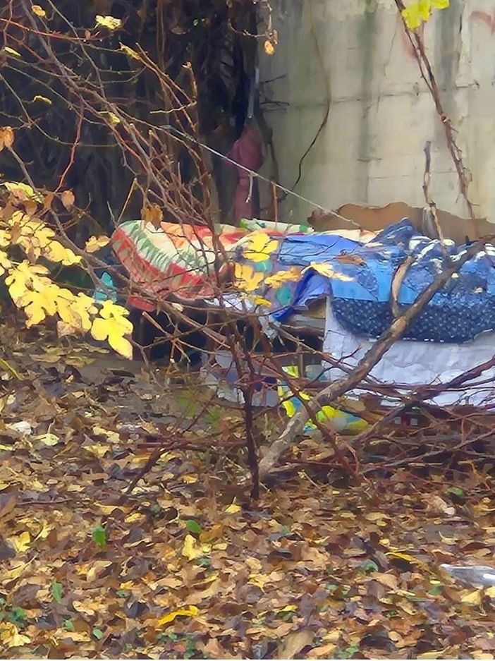 L'uomo si trova nel giardino Salerno L'uomo si trova nel giardino Salerno